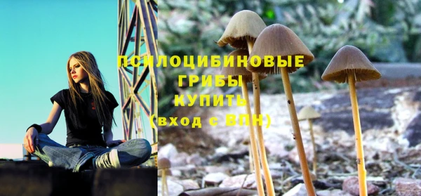 дмт Балабаново